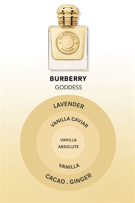 burberry women review|what does Burberry smell like.